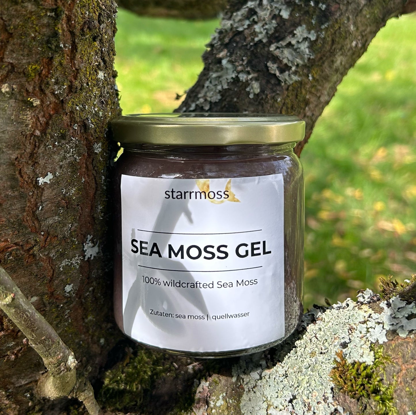 Purple Sea Moss Gel