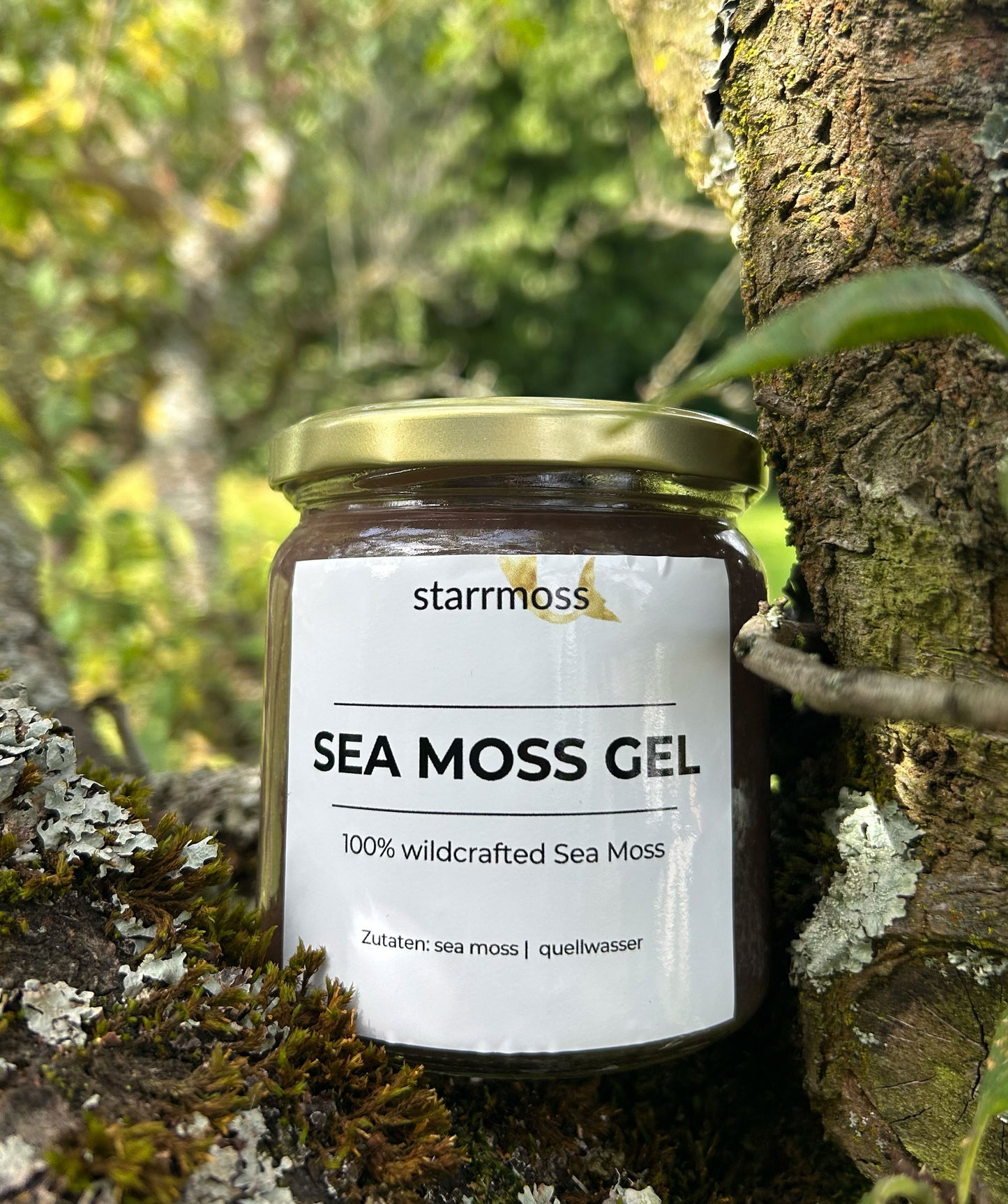 Purple Sea Moss Gel