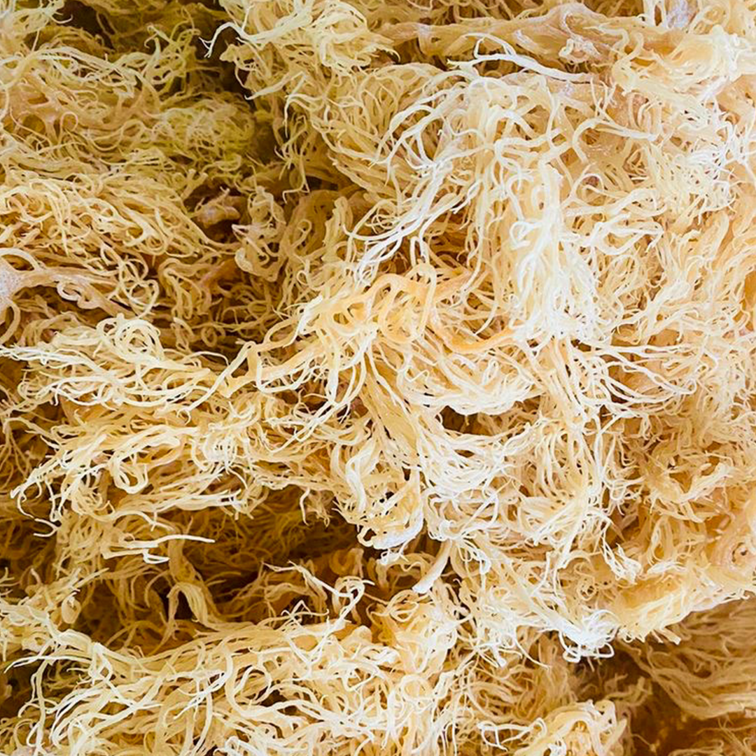 Gold Sea Moss Gel